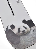 Load image into Gallery viewer, 2023 PROCESS FLYING V 152