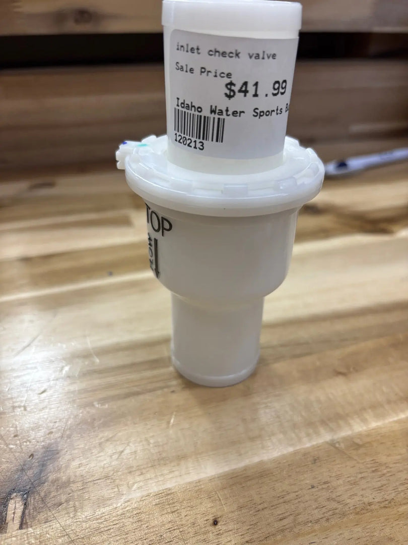inlet check valve