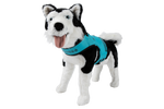 Load image into Gallery viewer, Dog Vest - M - Blue - Girth 16 in.-26.5 in. - Length 14 in.-17.5 in.