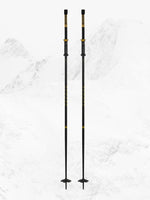 Load image into Gallery viewer, TRIAD BB GOLD/BLACK-MEN SKI POLES