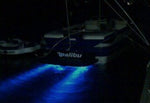Load image into Gallery viewer, UNDERWATER LIGHT, BLUE, W/DELPHI,