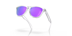 Load image into Gallery viewer, FROGSKINS CLEAR W/ PRIZM VIOLET