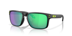 Load image into Gallery viewer, HOLBROOK MATTE BLACK W/ PRIZM ROAD
