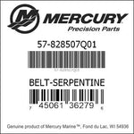 Load image into Gallery viewer, QS Serpentine Belt
