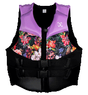 Daydream CGA Vest L