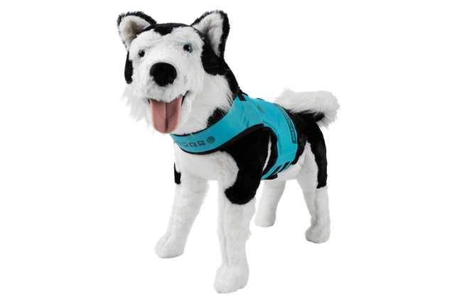 Dog Vest - 2XS - Blue - Girth 10'-16.5 in. - Length 8 in.-12.5 in.