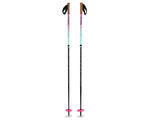 Load image into Gallery viewer, SKI POLES/ ARTIFICIAL POLE
