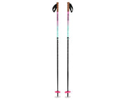 SKI POLES/ ARTIFICIAL POLE