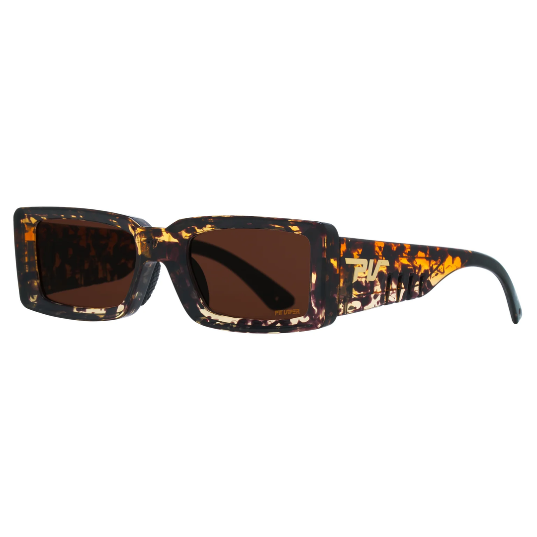 The Desert Tortoise Low Bones Brown