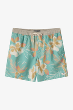 Load image into Gallery viewer, HERMOSA LINED TRUNK 17" 2XL