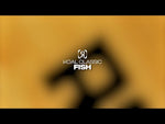 Load and play video in Gallery viewer, Ronix Koal Classic Fish 5'6