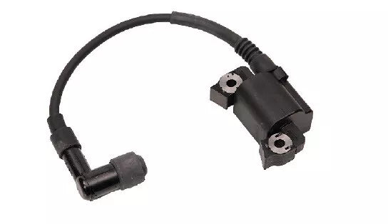 Mercury IGNITER W/CAP